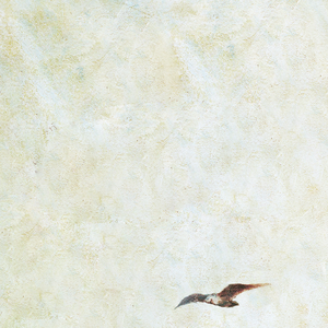 安徽妇搡BBBB搡BBBB小说
